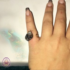 Brown Nutmeg Shell Ring